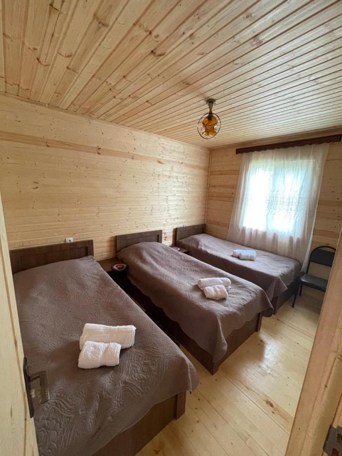 Warm House Vendégház Kazbegi Kültér fotó